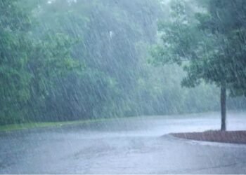 सोलापुरात मृगाचा पहिलाच दमदार पाऊस; ओढे, नाले वाहू लागले