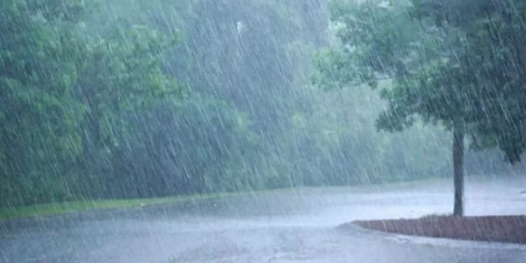 सोलापुरात मृगाचा पहिलाच दमदार पाऊस; ओढे, नाले वाहू लागले