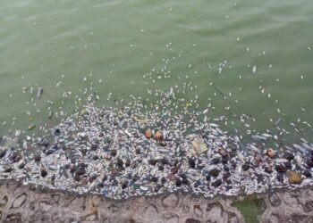 श्री सिद्धेश्वर तलावातील ऑक्सिजनची पातळी कमी