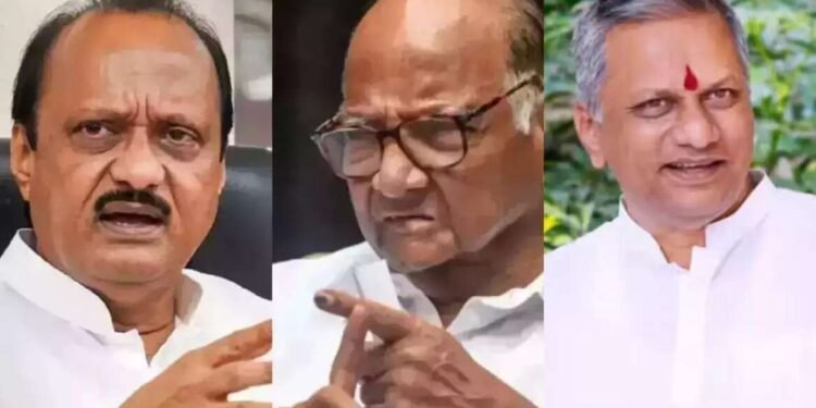 राजकारणातील गणिते सोडविणारे गणितज्ञ शरद पवार असल्याचे सिद्ध – श्रीनिवास पवार