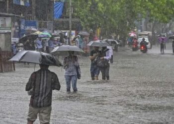 मुंबई, ठाणे, पालघरसह कोकणात जोरदार पावसाची बँटिंग, पुढील 24 तासांत पावसाचा जोर वाढण्याची शक्यता