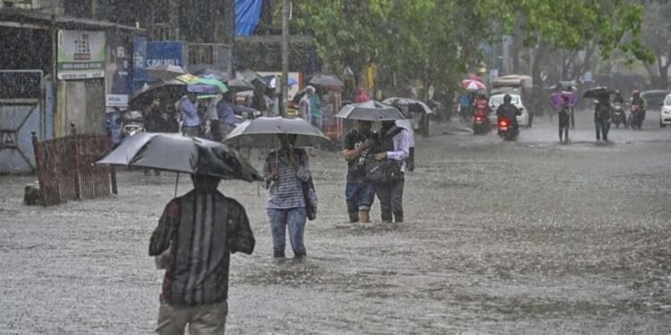 मुंबई, ठाणे, पालघरसह कोकणात जोरदार पावसाची बँटिंग, पुढील 24 तासांत पावसाचा जोर वाढण्याची शक्यता