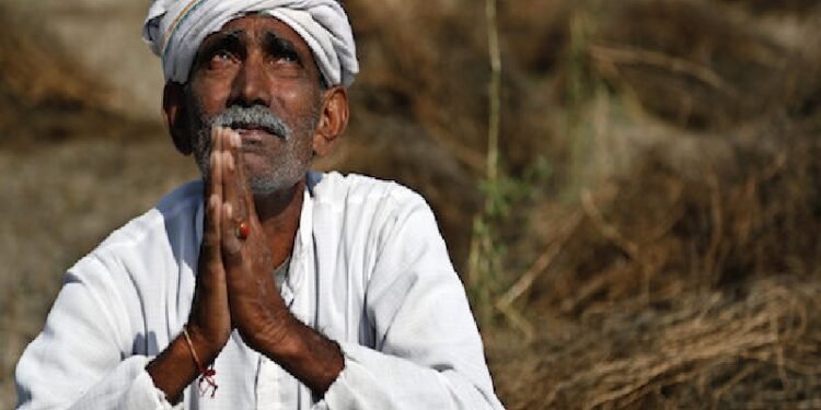 पश्चिम विदर्भातील शेतकऱ्यांच्या आत्महत्येमध्ये मोठी वाढ, अमरावतीमध्ये सर्वाधिक आत्महत्या