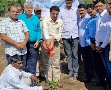 स्वारातीम’ विद्यापीठामध्ये ‘वृक्षोत्सव पंधरवाडा’ निमित्त वृक्ष लागवड