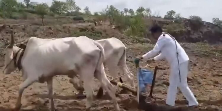 गाडी थांबवत शेतकऱ्यांशी संवाद, बजरंग सोनवणेंची खरीप पेरणी