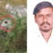 मुसळधार पावसामध्ये कासेगावातील ओढ्यावरून वाहून गेलेल्या युवकाचा मृतदेह तब्बल दोन दिवसानंतर पाण्यात फुगूनवर आलेला दिसून आला.
