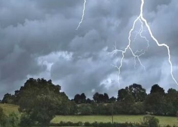 भंडाऱ्यात वीज पडून दोन बैलांचा मृत्यू