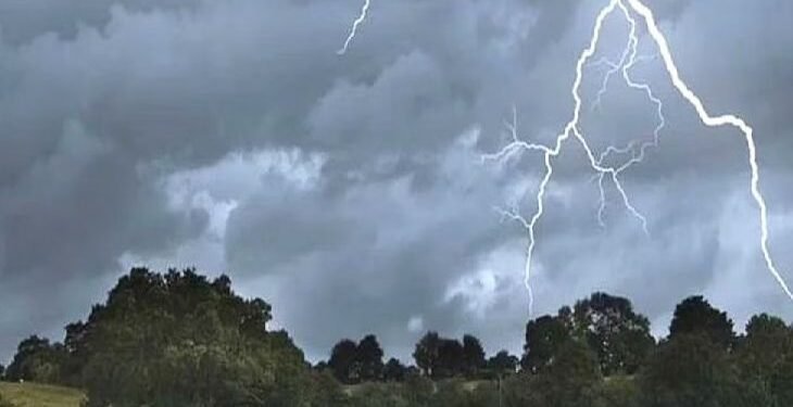 भंडाऱ्यात वीज पडून दोन बैलांचा मृत्यू