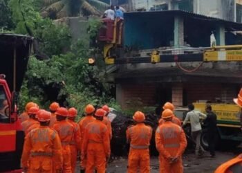 विरारमध्ये झाडाखाली दबून ७० वर्षीय महिलेचा मृत्यू