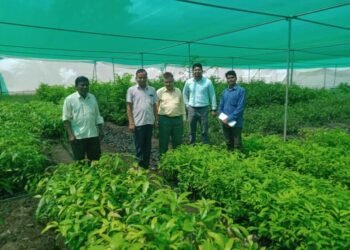 तालुका फळरोपवाटिकेला डॉ. संजय पाटील भेट