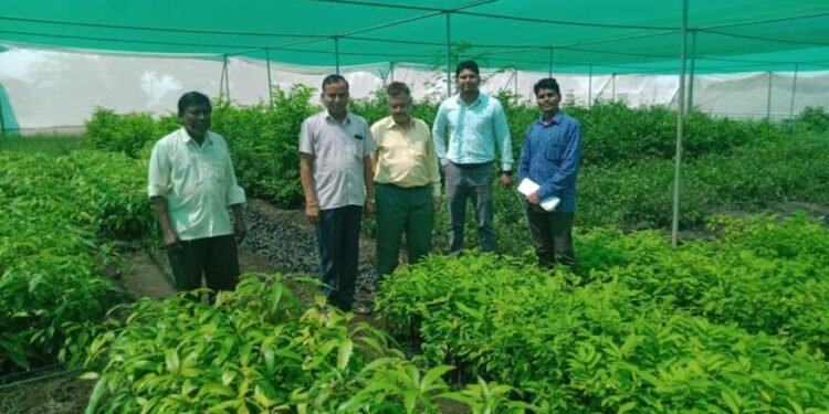 तालुका फळरोपवाटिकेला डॉ. संजय पाटील भेट