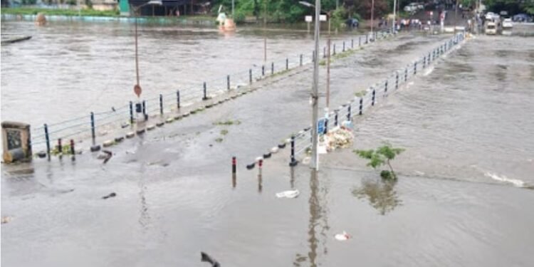 भिडे पूल आणि शिवणे पूल पुन्हा पाण्याखाली