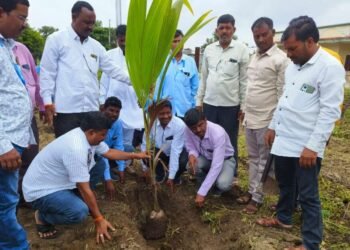 लावलेल्या प्रत्येक झाडाचे संगोपन करणे ही आपली जबाबदारी – खिल्लारे