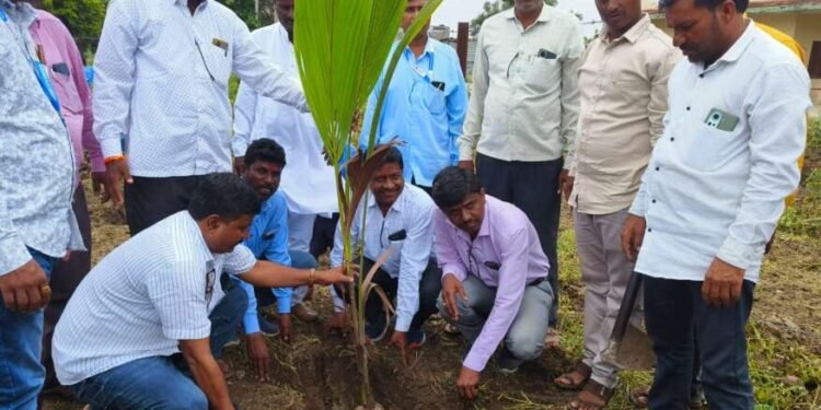 लावलेल्या प्रत्येक झाडाचे संगोपन करणे ही आपली जबाबदारी – खिल्लारे