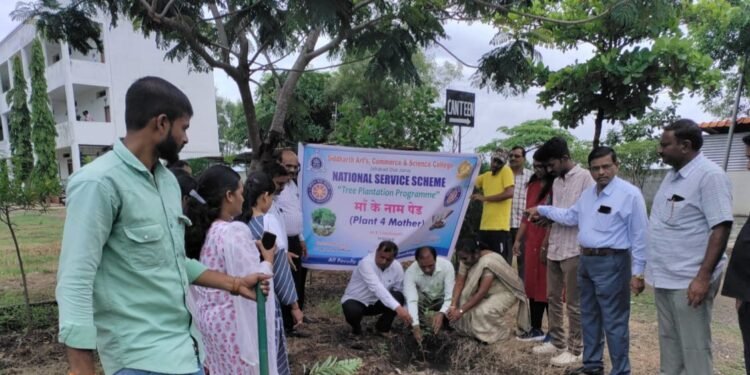 सिध्दार्थ महाविद्यालयात वृक्षारोपण संपन्न