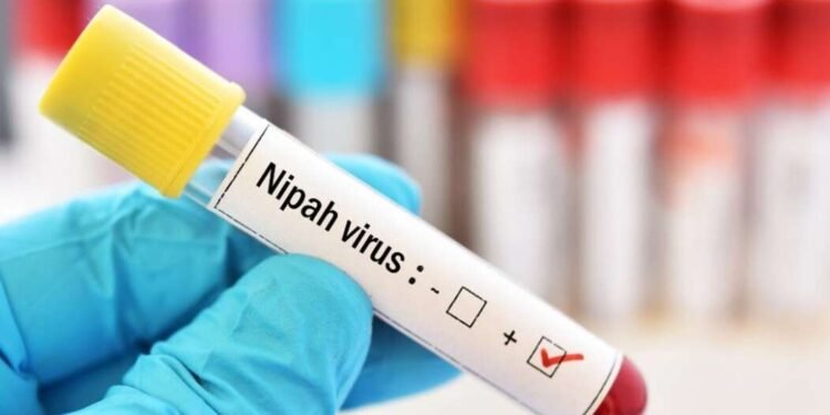 केरळमध्ये निपाह व्हायरसमुळे बालकाचा मृत्यू