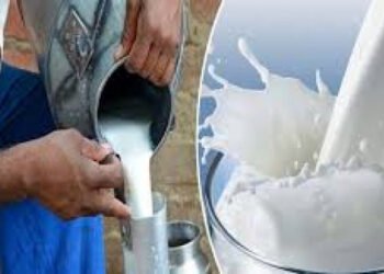 दूध उत्पादक शेतकऱ्यांकरिता अनुदान योजनेच्या लाभासाठी अर्ज सादर करण्याचे आवाहन