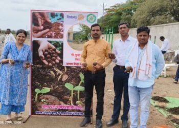 विविध सामाजिक संस्थांचा वृक्षारोपण आणि संवर्धनासाठी पुढाकार विद्यार्थ्यांनी तयार केलेल्या सीडबॉलची डोंगरावर पेरणी