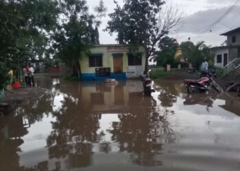 करंजगावात सावळागोंधळ; नाल्याच्या कामावर वारेमाप पैसा खर्च; पण गावात पाणी तुंबलेलेच; रोगराईची भर