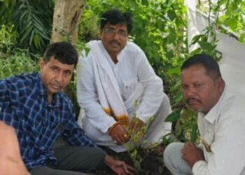 वारकरी संप्रदायात महत्व असलेल्या दुर्मिळ” कान्होपात्रा” च्या वेलीचे सेलूद येथे विधिवत रोपण- *डॉ.संतोष पाटील यांनी दिली पर्यावरणाला आध्यत्माची जोड*