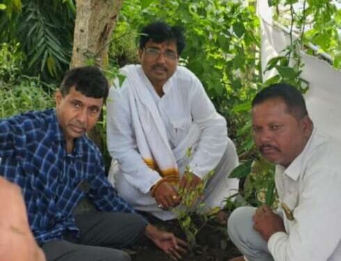 वारकरी संप्रदायात महत्व असलेल्या दुर्मिळ” कान्होपात्रा” च्या वेलीचे सेलूद येथे विधिवत रोपण- *डॉ.संतोष पाटील यांनी दिली पर्यावरणाला आध्यत्माची जोड*