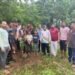 धाराशिव तालुक्यातील येडशी येथील जनता विद्यालयामधील माजी विद्यार्थ्यांनी वृक्षारोपन करून सामाजिक स्तुत्य उपक्रम केला आहे