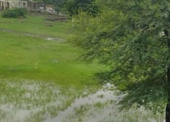 *मुदखेड येथील बैल बाजाराला तळ्याचे स्वरूप