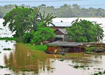 आसामच्या पुराने आतापर्यंत 46 जणांचा बळी घेतला