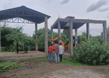 बालाजी पळसपुर यांनी केली स्मशानभूमी परिसराची स्वच्छता