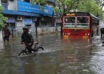 मुंबईत पावसाचे थैमान, जनजीवन विस्कळीत