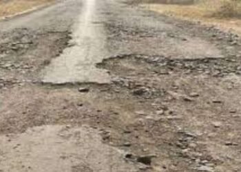 मंडळ अधिकारी सुहास डोरले, अनखी किती वर्ष वरीष्ठांची दिशाभूल करायची!