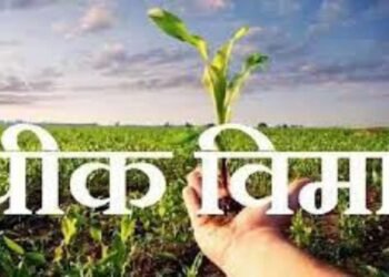 पीक विम्यासाठी शेतकऱ्यांनी अंतिम मुदतीची वाट पाहू नये – नांदेड जिल्हाधिकारी