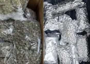 मुंबई विमानतळावर 5 कोटी रुपयांचा गांजा जप्त