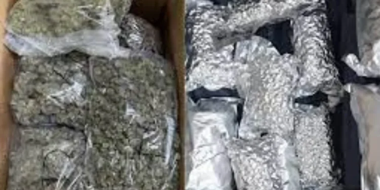 मुंबई विमानतळावर 5 कोटी रुपयांचा गांजा जप्त