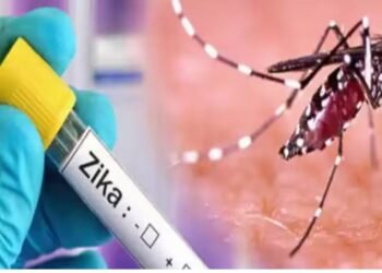 पुणे शहरात झिकाचे आणखी 2 रुग्ण पॉझिटिव्ह