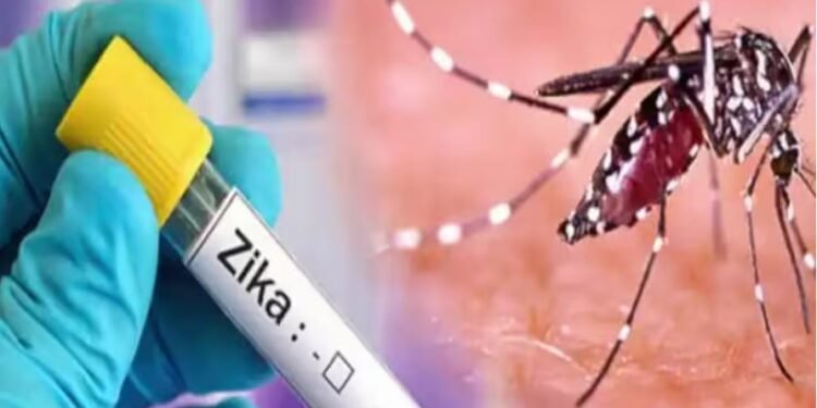 पुणे शहरात झिकाचे आणखी 2 रुग्ण पॉझिटिव्ह