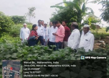 स्वतः नोंदवा पिकपेरा•जाफ्राबादच्या तहसीलदार डॉ. सारिका भगत यांचे आवाहन