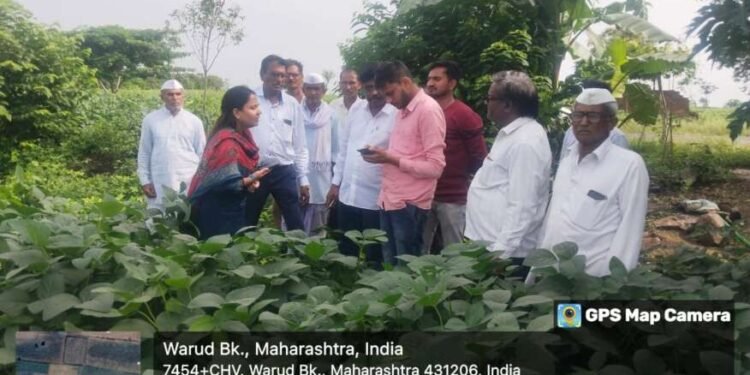 स्वतः नोंदवा पिकपेरा•जाफ्राबादच्या तहसीलदार डॉ. सारिका भगत यांचे आवाहन