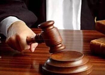 परिस्थिती बदलली की तुमची भूमिका बदलते’, हायकोर्टाने चित्रा वाघ यांना फटकारले