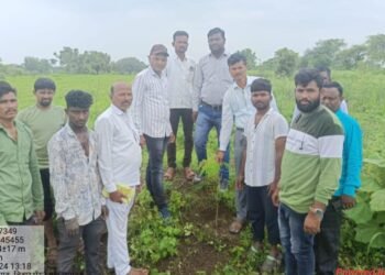 स्व: खर्चातुन वृक्षलावगड