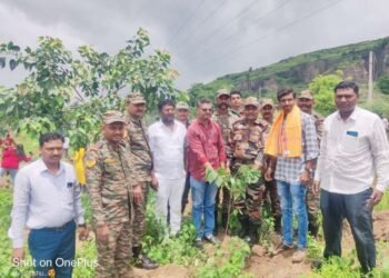 तिसगाव येथे दोन हजार वृक्षांचे रोपण