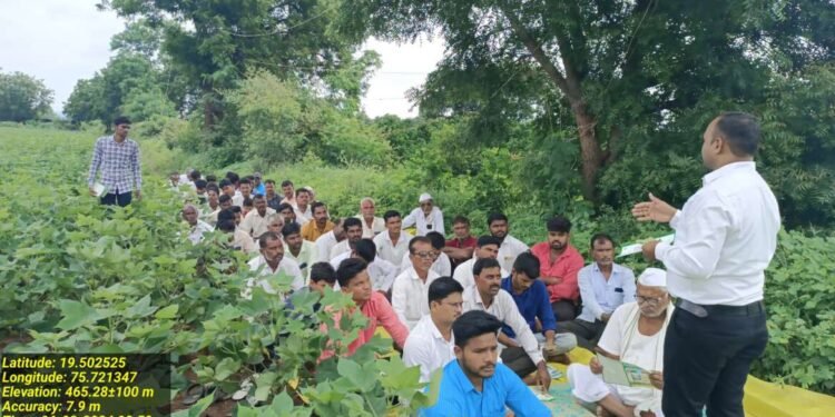 बारसवाडा येथे किड व रोग सर्वेक्षण व सल्ला प्रकल्प अंतर्गत शेतीशाळा संपन्न.