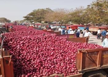 बांगलादेशातील अस्थिरता संपल्याशिवाय कांदा निर्यात नाही: महाराष्ट्रातील व्यापाऱ्यांचा निर्णय