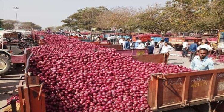 बांगलादेशातील अस्थिरता संपल्याशिवाय कांदा निर्यात नाही: महाराष्ट्रातील व्यापाऱ्यांचा निर्णय