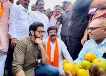 नुकसान ग्रस्त शेतकऱ्यांचे अश्रू पुसण्यासाठी बांदावर आलो -आदित्य ठाकरे