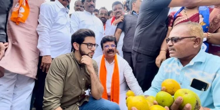 नुकसान ग्रस्त शेतकऱ्यांचे अश्रू पुसण्यासाठी बांदावर आलो -आदित्य ठाकरे