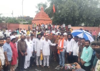 काँग्रेसचा बैलपोळा…. नवचैतन्याचा सोहळा…