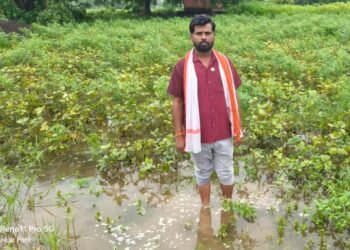 अतिवृष्टीची नुकसान भरपाई द्या.-कलंबरकर