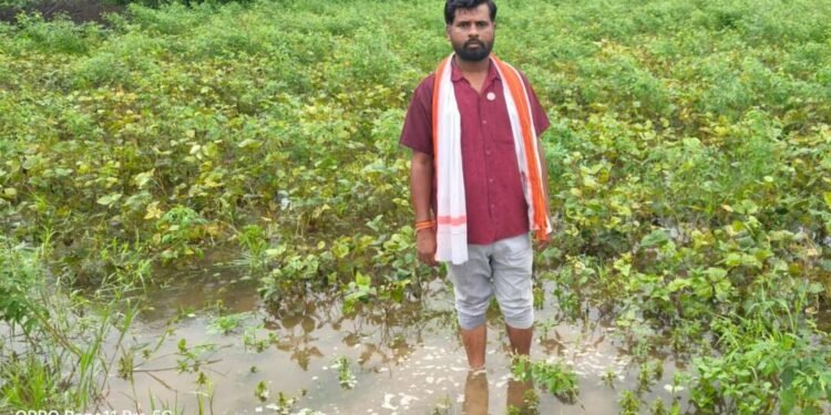 अतिवृष्टीची नुकसान भरपाई द्या.-कलंबरकर