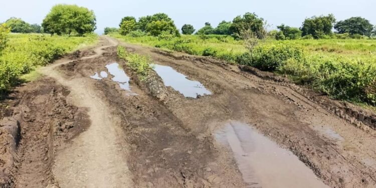 मुखेड – हिब्बट – देगलुर रोडचा प्रश्न सोडविण्यासाठी विद्यमान लोकप्रतिनिधी लक्ष घालतील काय ?